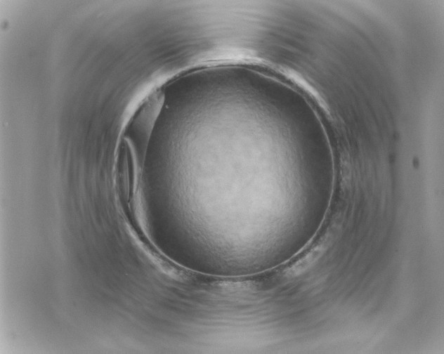 X0000075831469200609291409