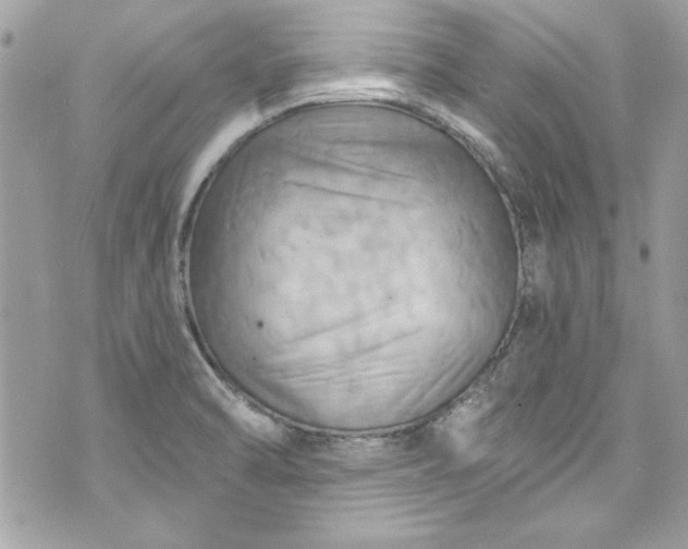 X0000075831470200609291409