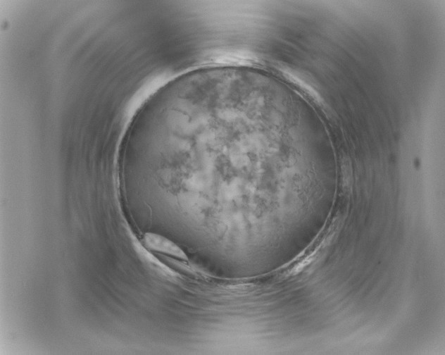 X0000075831471200609291409