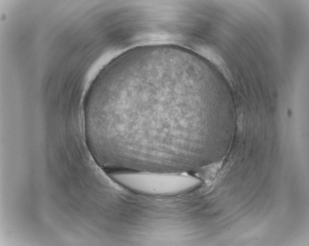 X0000075831472200609291409