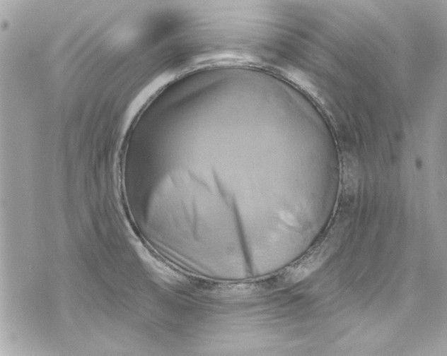 X0000075831474200609291409