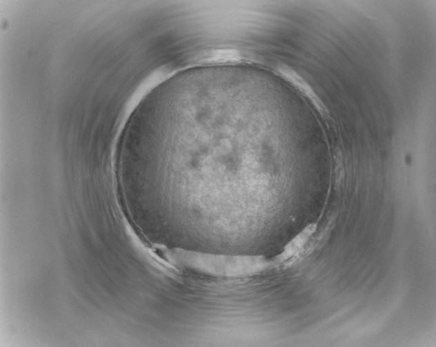 X0000075831475200609291409