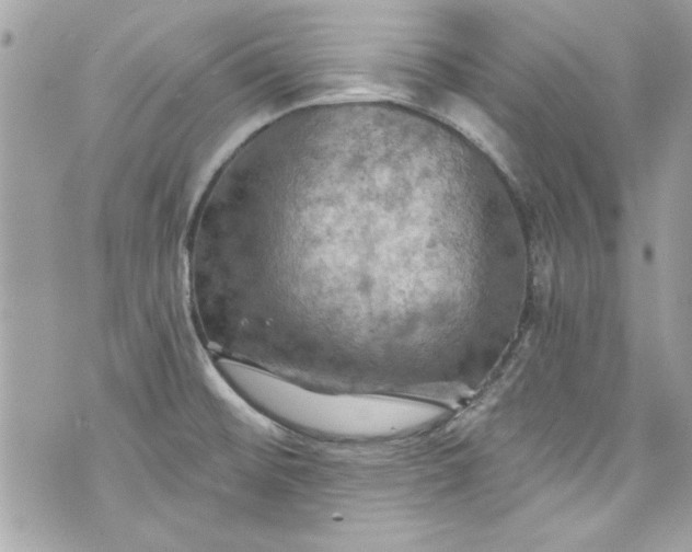 X0000075831476200609291409