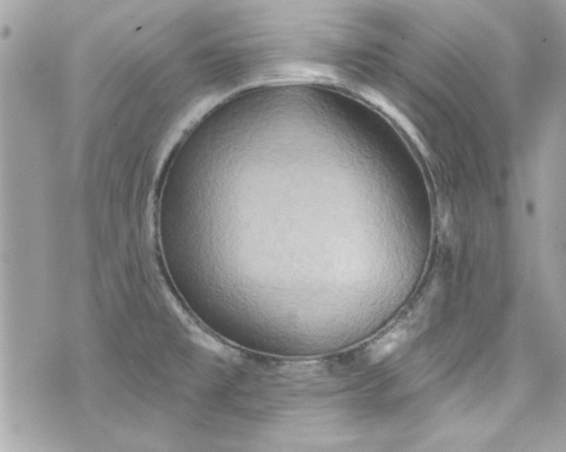 X0000075831477200609291409