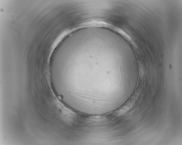 X0000075831478200609291409