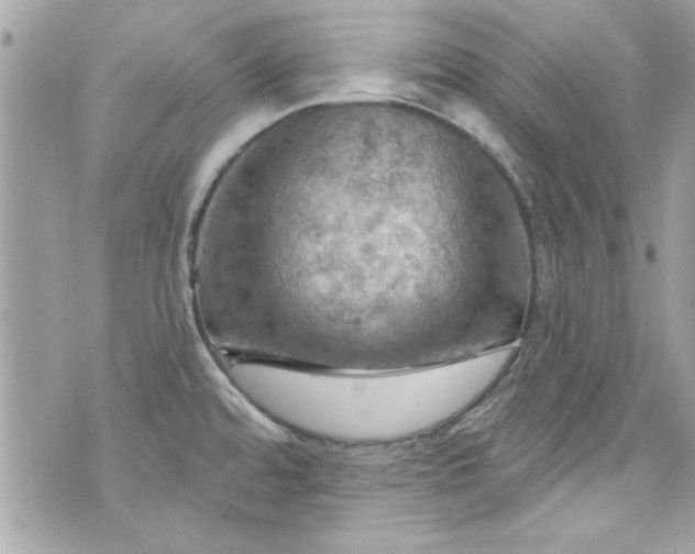 X0000075831480200609291409