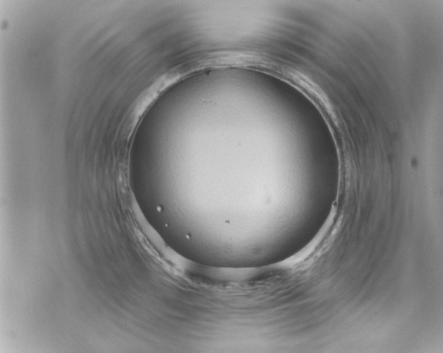 X0000075831481200609291409