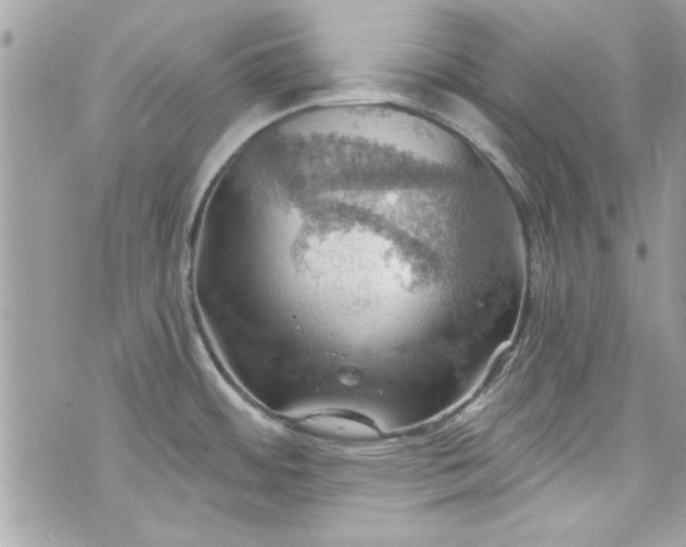 X0000075831484200609291409