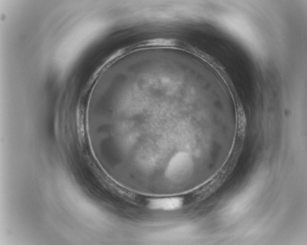 X0000075831487200609291409