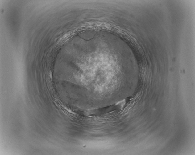 X0000075831489200609291408