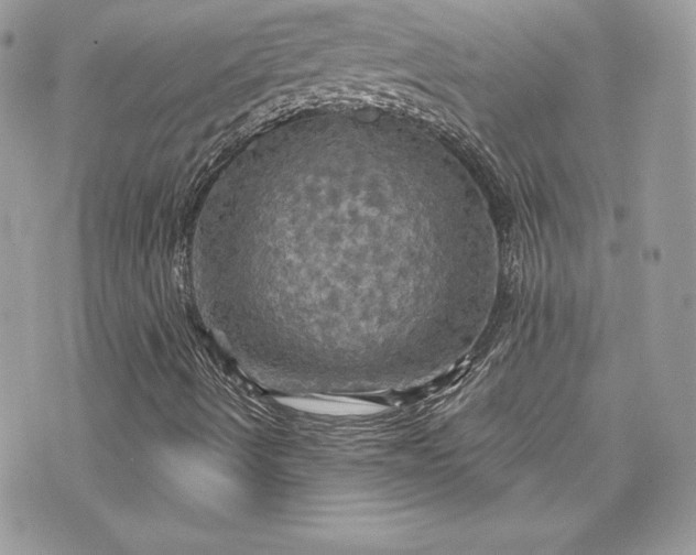 X0000075831490200609291408