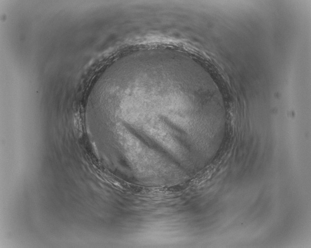 X0000075831493200609291408