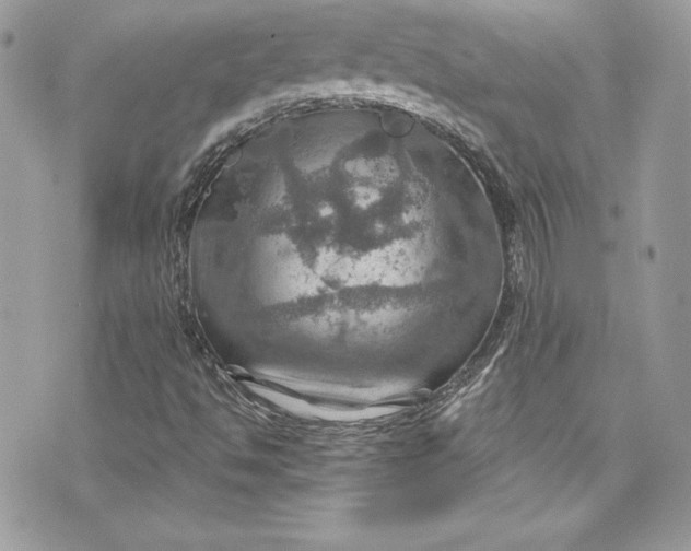 X0000075831494200609291408