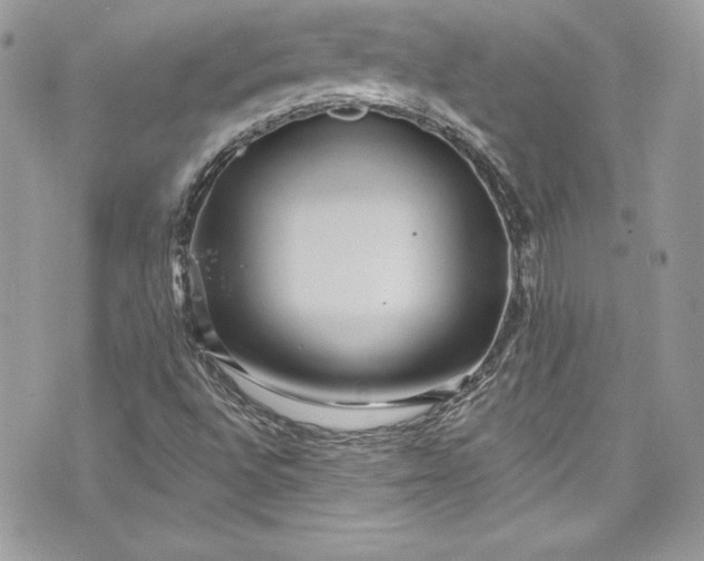 X0000075831496200609291408