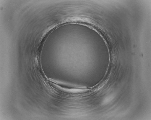 X0000075831497200609291408