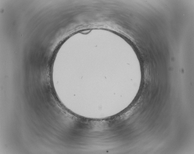 X0000075831498200609291408