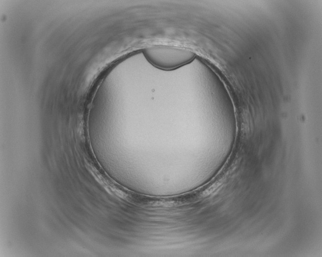 X0000075831499200609291408