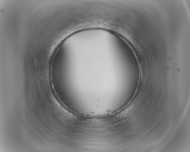 X0000075831500200609291408