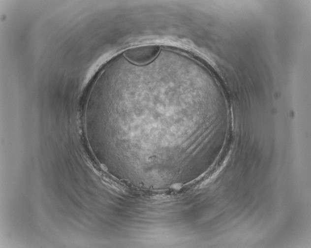 X0000075831501200609291408