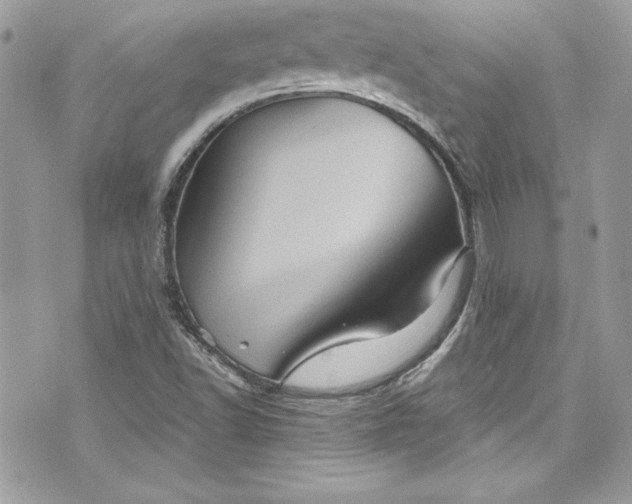 X0000075831502200609291408