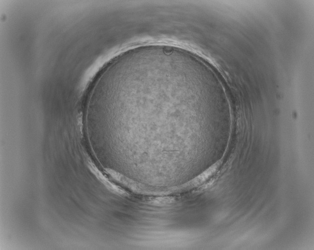 X0000075831503200609291408