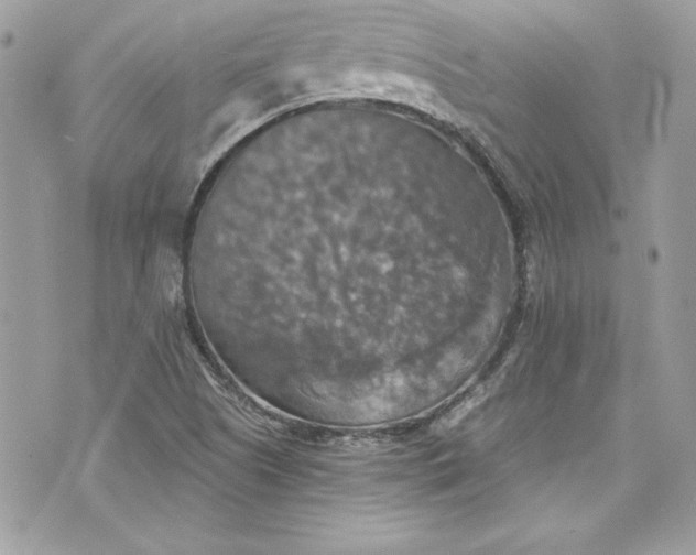 X0000075831505200609291408