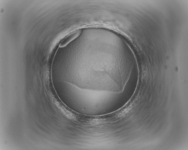 X0000075831506200609291409