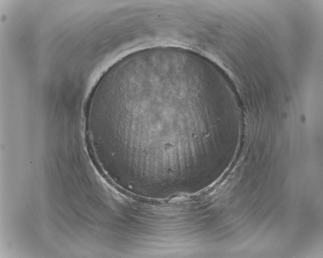 X0000075831508200609291409