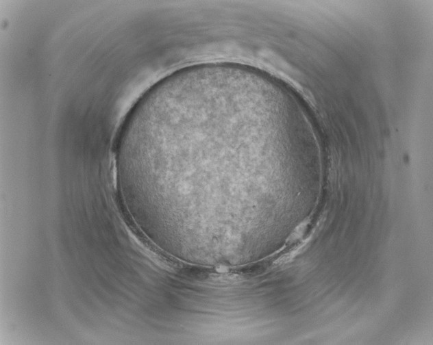 X0000075831509200609291409