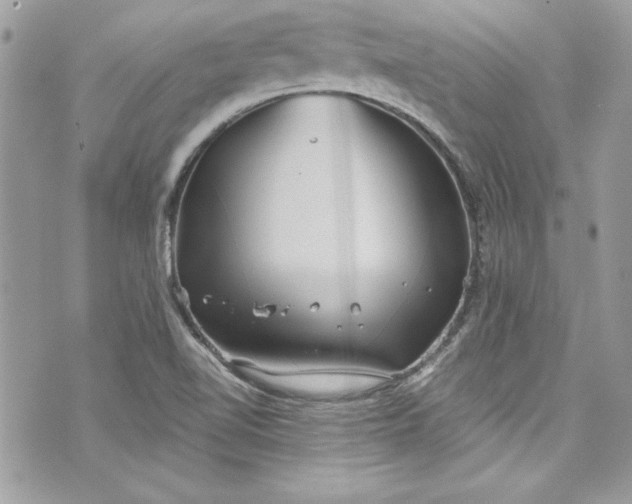 X0000075831510200609291409