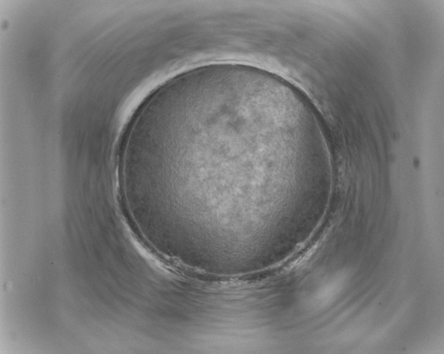 X0000075831511200609291409