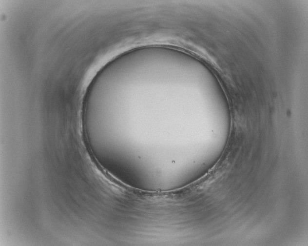 X0000075831512200609291409