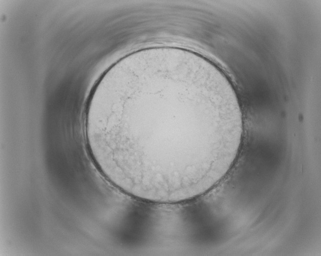 X0000075831514200609291409