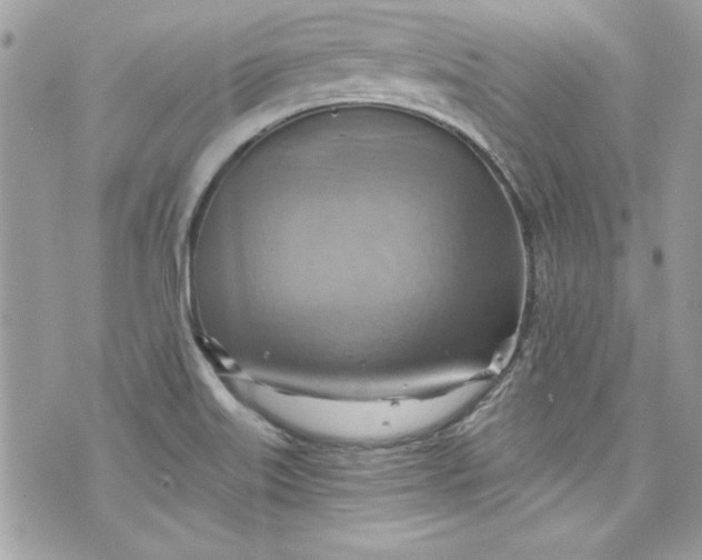 X0000075831515200609291409