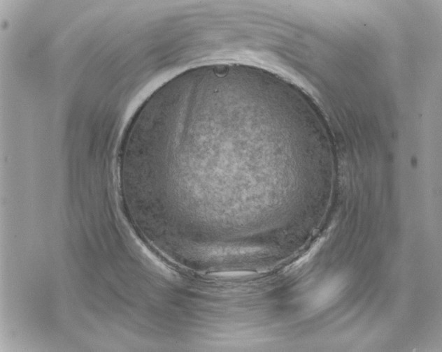 X0000075831517200609291409