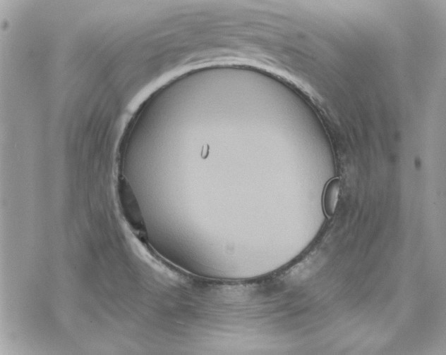 X0000075831518200609291409