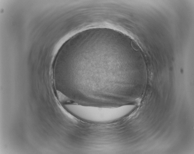 X0000075831519200609291409