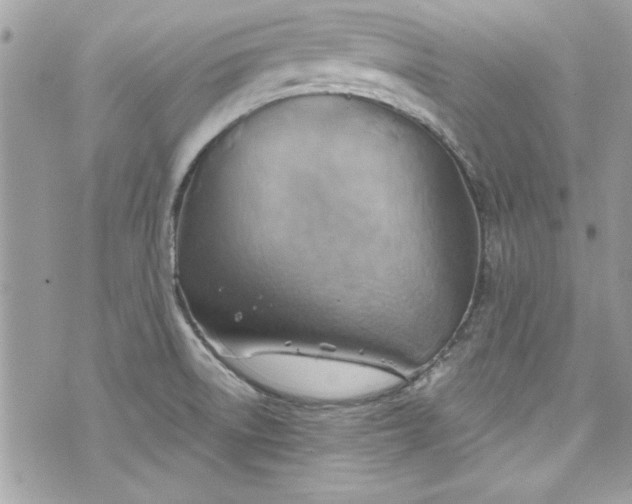 X0000075831522200609291409