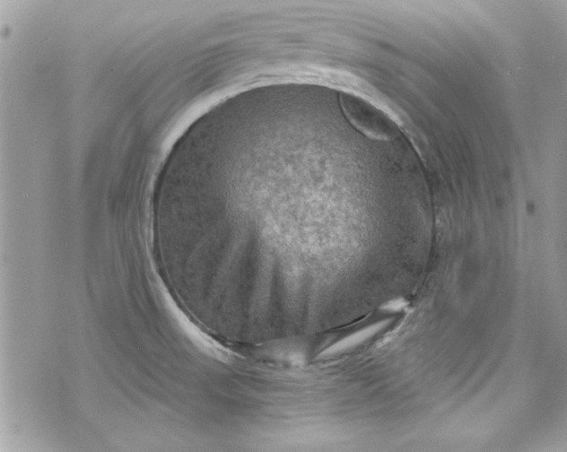 X0000075831523200609291409