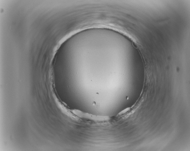 X0000075831526200609291409