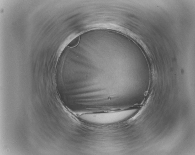 X0000075831529200609291409