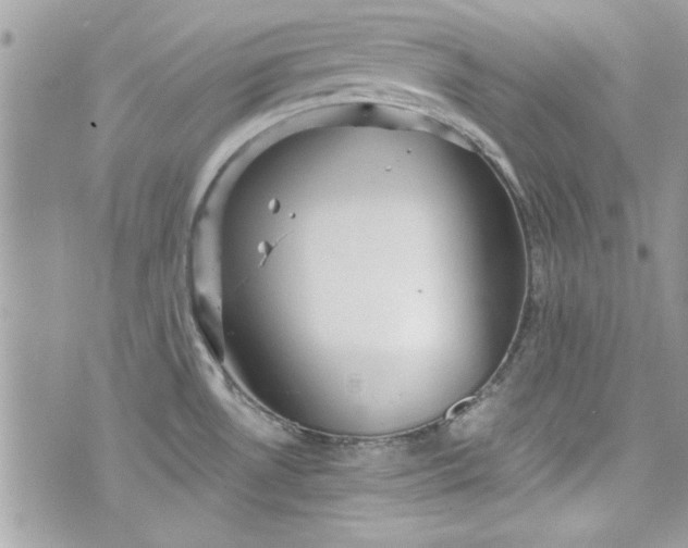 X0000075831530200609291409