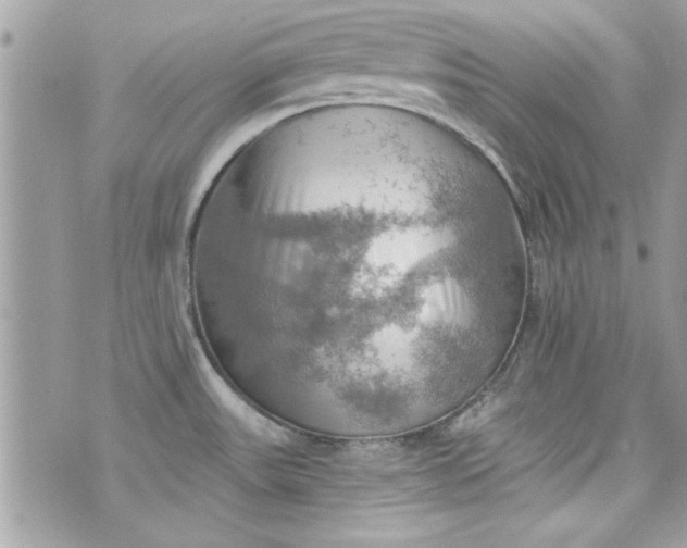 X0000075831531200609291409