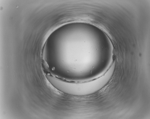 X0000075831532200609291409