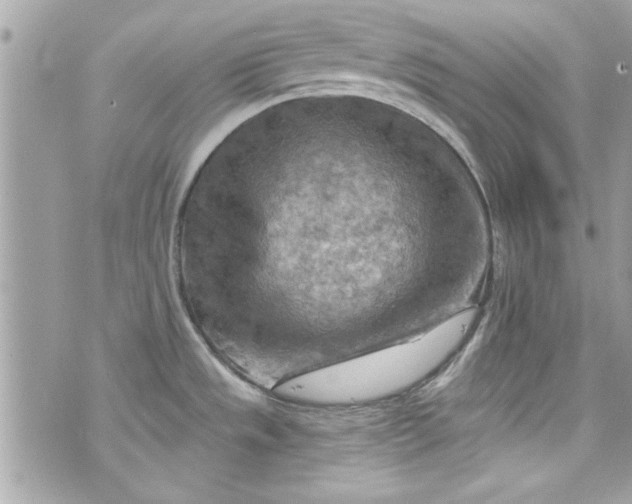 X0000075831533200609291409