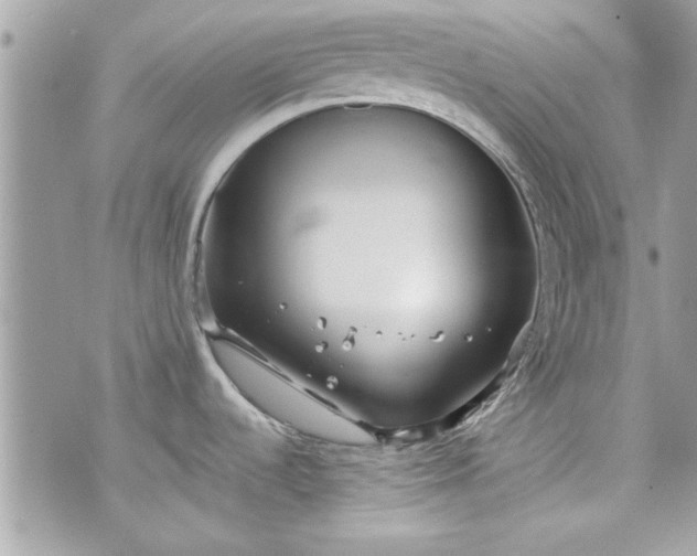 X0000075831536200609291409