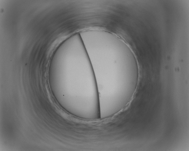 X0000075830001200610061834