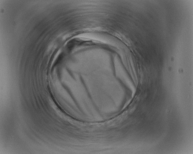 X0000075830002200610061834