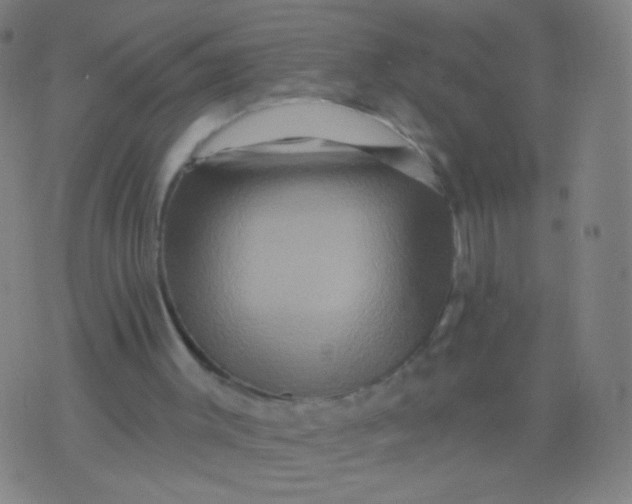 X0000075830003200610061834