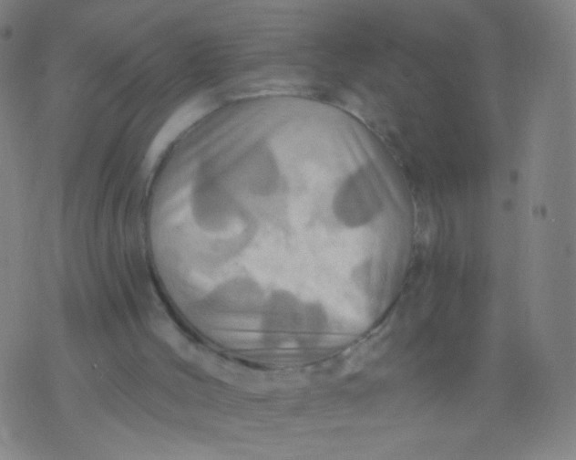 X0000075830004200610061834